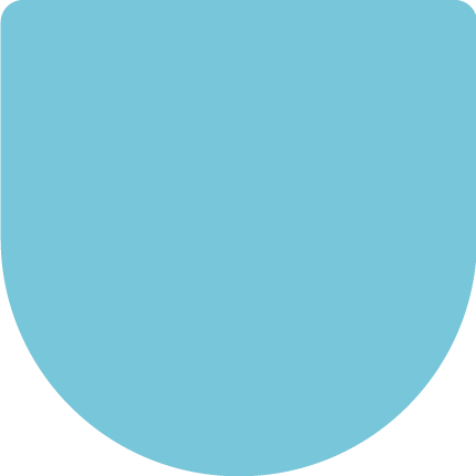 big logo